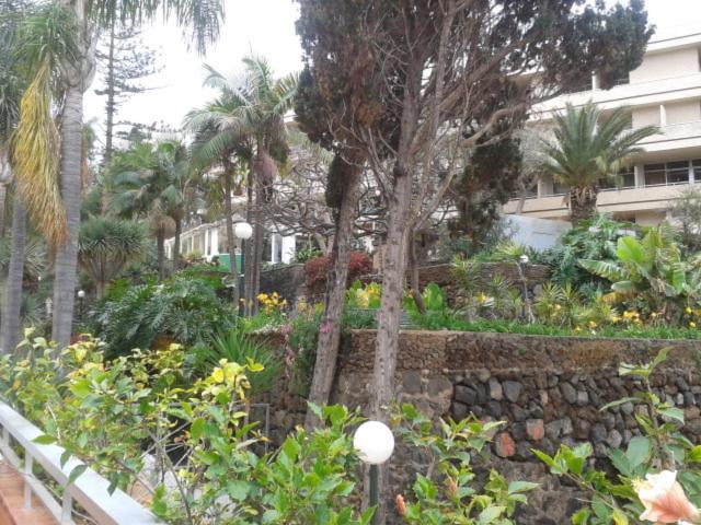 Tranquilo Apartamento Puerto De La Cruz Exteriér fotografie